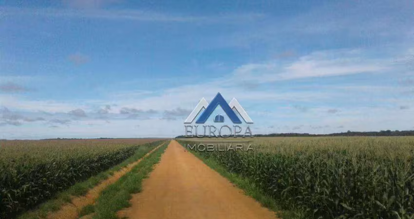 Fazenda com 6 dormitórios à venda, 159360000 m² por r$ 800.000.000,00 - zona rural - nova ubiratã/mt