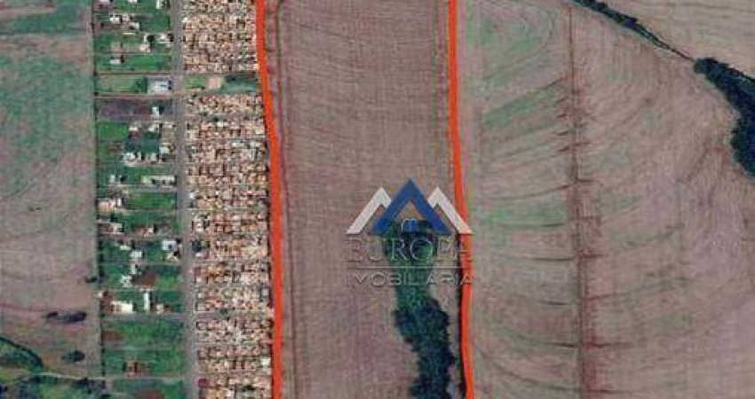 Área à venda, 290400 m² por R$ 15.600.000,00 - Conjunto Palmares - Arapongas/PR