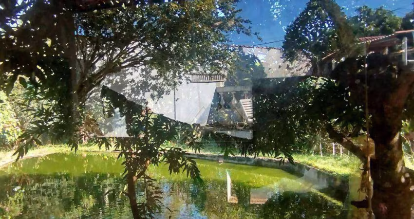 Chácara com 2 dormitórios à venda, 2000 m² por R$ 470.000,00 - Jardim Vale Verde - Londrina/PR