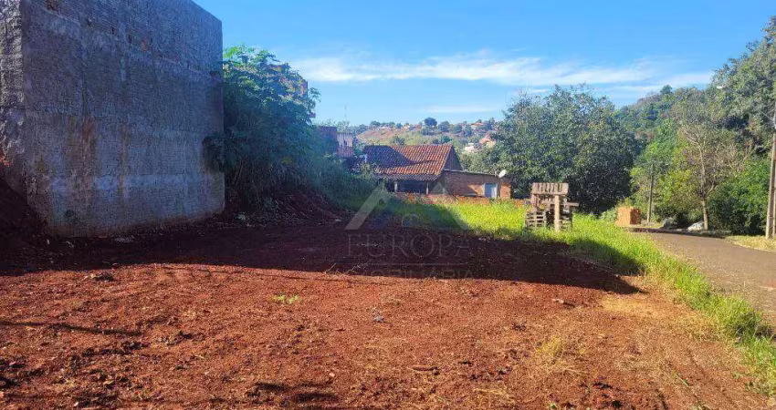 Terreno à venda, 300 m² por r$ 85.000,00 - jardim neman sahyun - londrina/pr