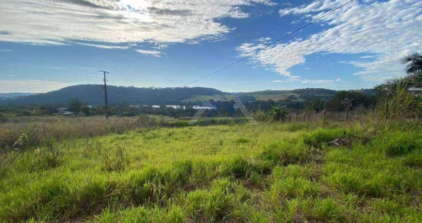Chácara à venda, 10000 m² por R$ 480.000,00 - Vila Rural - Ibiporã/PR