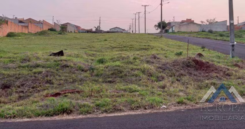 Terreno à venda, 300 m² por R$ 140.000,00 - Jardim Ecoville I - Cambé/PR