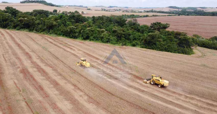 Sítio à venda, 520300 m² por r$ 14.000.000,00 - agua das aboboras  - ibiporã/pr