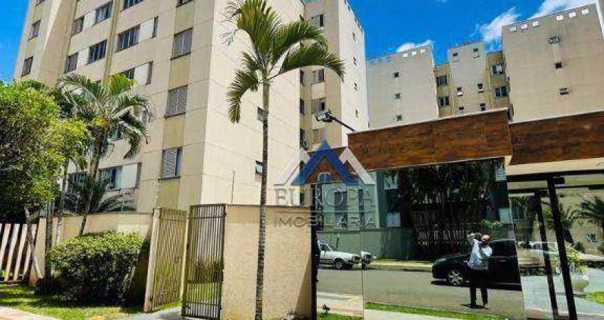 Apartamento com 3 dormitórios à venda, 65 m² por R$ 335.000,00 - Gleba Palhano - Londrina/PR