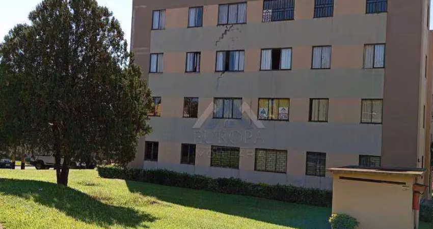Apartamento com 3 dormitórios à venda, 47 m² por r$ 150.000,00 - monte belo - londrina/pr