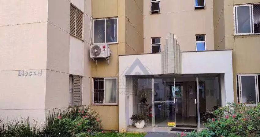 Apartamento com 3 dormitórios à venda, 65 m² por r$ 350.000,00 - residencial do lago - londrina/pr