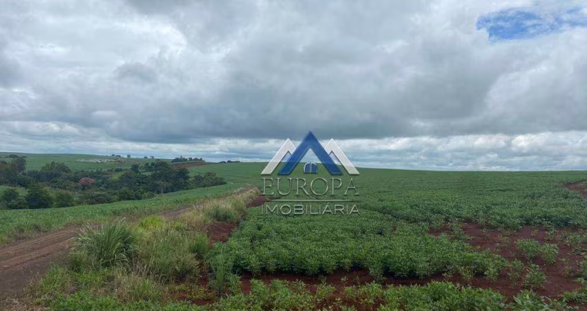 Fazenda à venda, 968000 m² por R$ 13.000.000,00 - Centro - Nova Fatima/PR