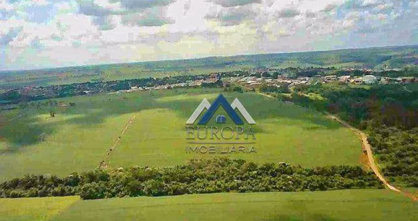 Sítio à venda, 13 Alqueires por R$ 10.400.000 - Zona Rural - Jaguapitã/PR