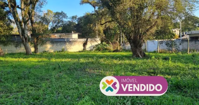 Terreno à venda na Henrique Toni, Jardim Guarituba, Piraquara