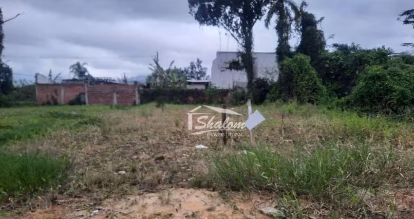 Terreno à venda na Avenida Domingos Martins Cabrera, Balneário dos Golfinhos, Caraguatatuba