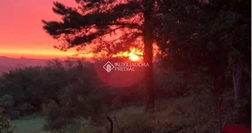 Terreno à venda na Estrada Kanazawa, 1045, Vila Nova, Porto Alegre