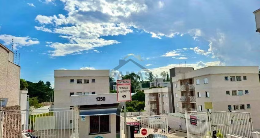 Apartamento - primeira locacao - Vinhedo - SP