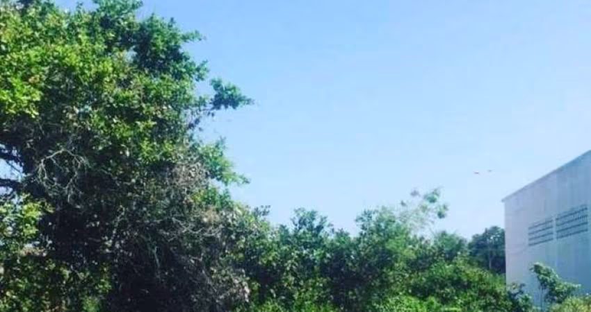 02 LOTES de Terreno prox ao Bosque de Intermares