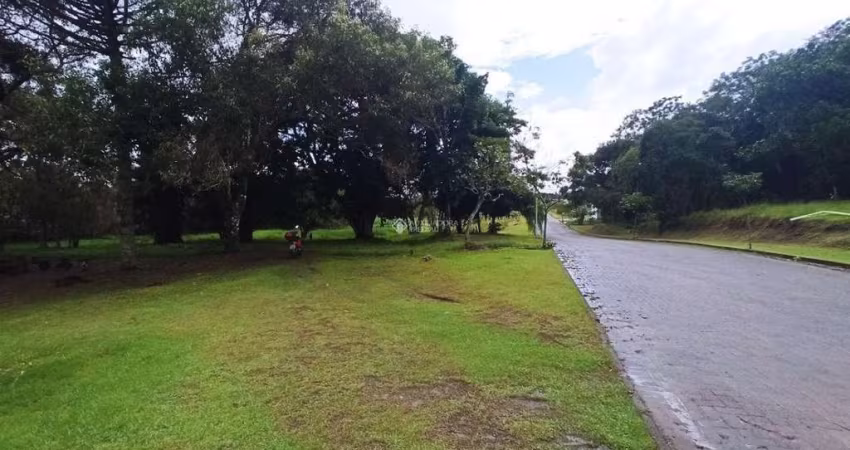 Terreno à venda na Rua Intendente Antônio Damasco, 4687, Ratones, Florianópolis