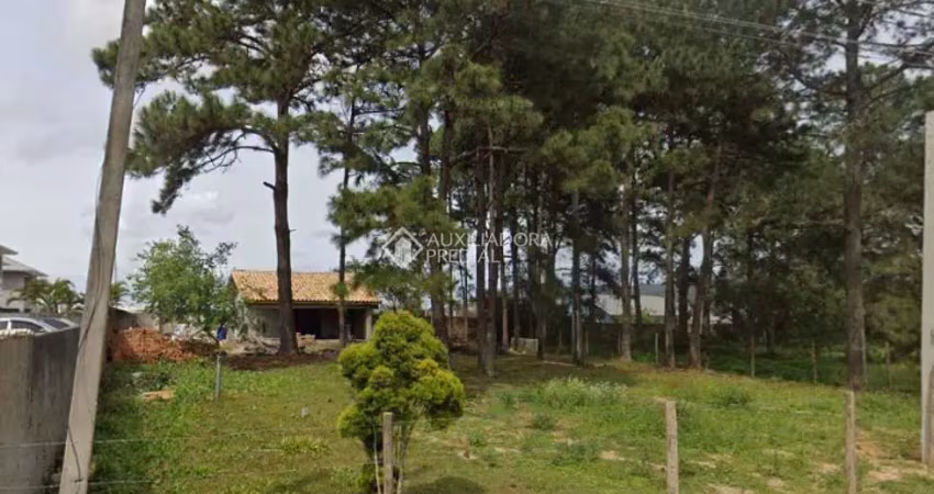 Terreno à venda na Servidão Antenor de Souza Conceição, 21, São João do Rio Vermelho, Florianópolis