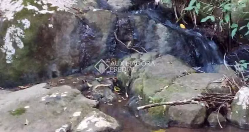 Fazenda à venda na SC 437, 0000, Fazenda São Paulo, Imaruí
