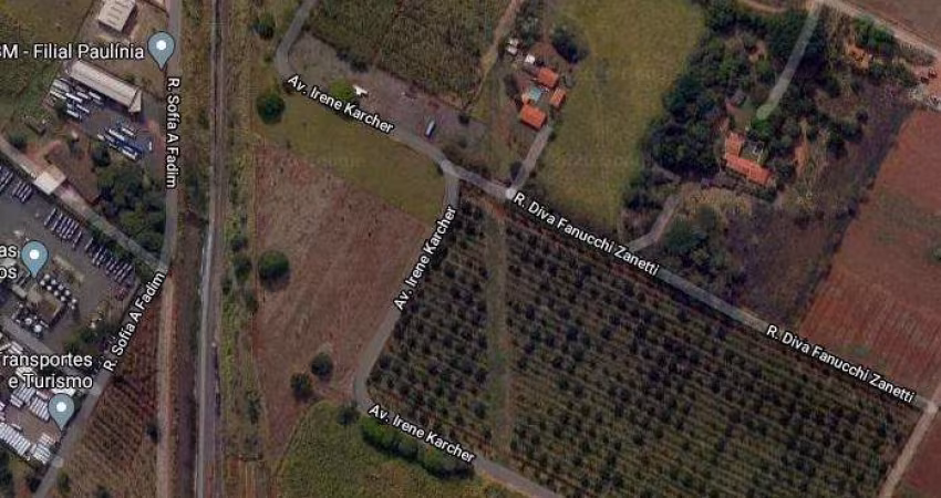 Terreno à venda na Avenida Irene Karcher, S/N, Betel, Paulínia