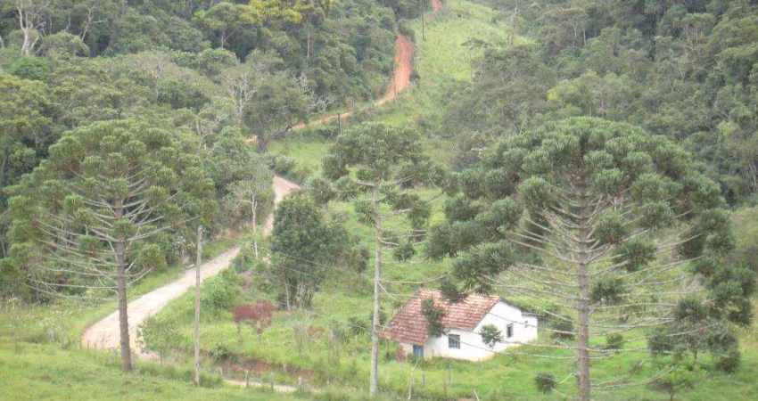 Fazenda à venda na Barão de Bocaina, S/N, Centro, Lorena