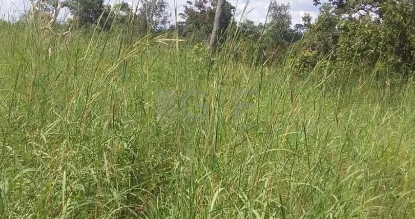 Fazenda à venda na Lagoa do Tocantis, 1, Setor Central, Lagoa do Tocantins
