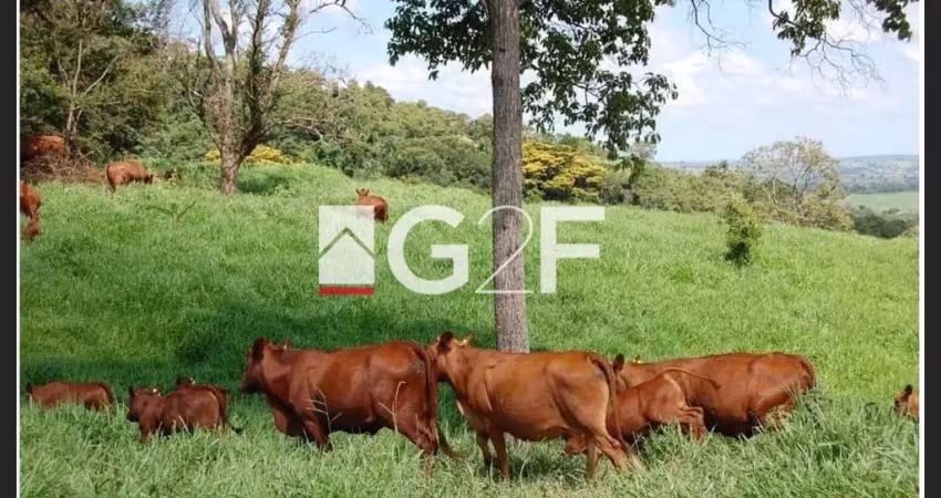 Fazenda à venda na Estrada Velha Mogi Mirim Pará Itapira, S/N, Área Rural de Itapira, Itapira