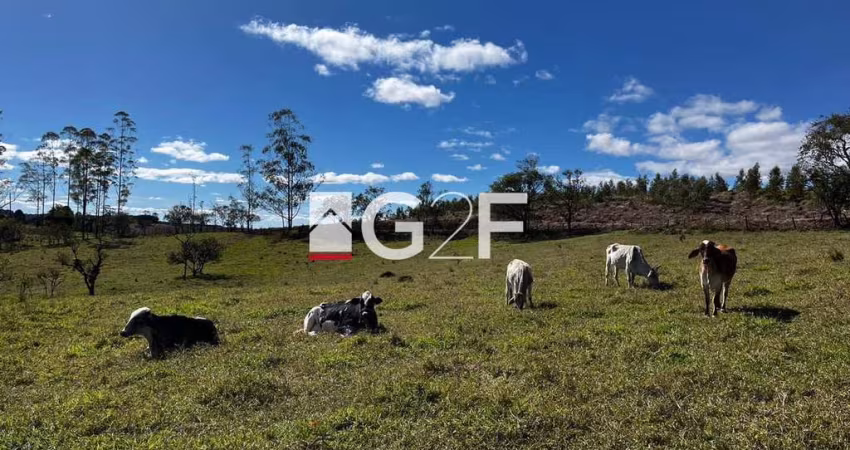Fazenda à venda na Estrada Benedito Fernandes Leme, S/N, Alegre, Pilar do Sul