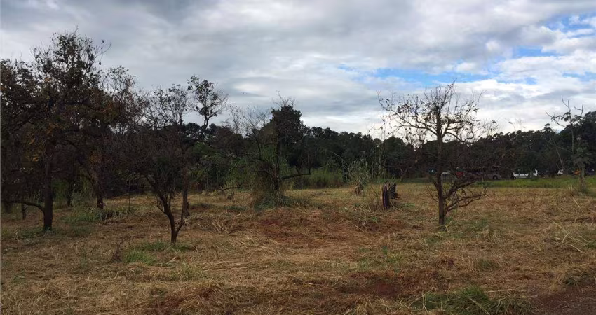 Terreno comercial à venda na Avenida Constante Pavan, 4, Betel, Paulínia