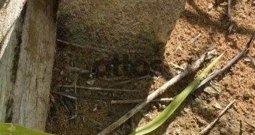 Terreno em Residencial Arcoville - São Carlos, SP