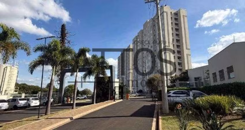 Apartamento com 2 quartos para alugar na Avenida dos Sanhaços, 901, Parque Faber Castell II, São Carlos