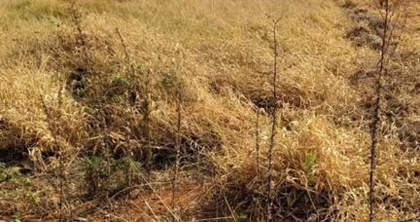 Terreno à venda no bairro Bela Vista - Araguari/MG