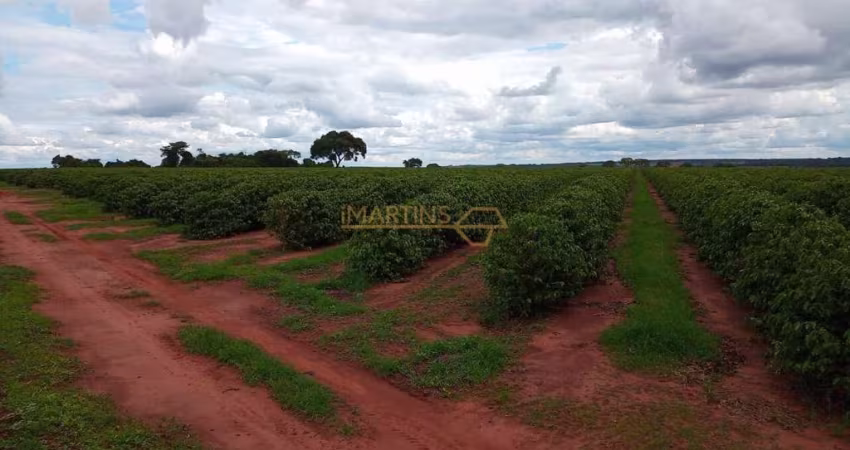 Fazenda café Araguari