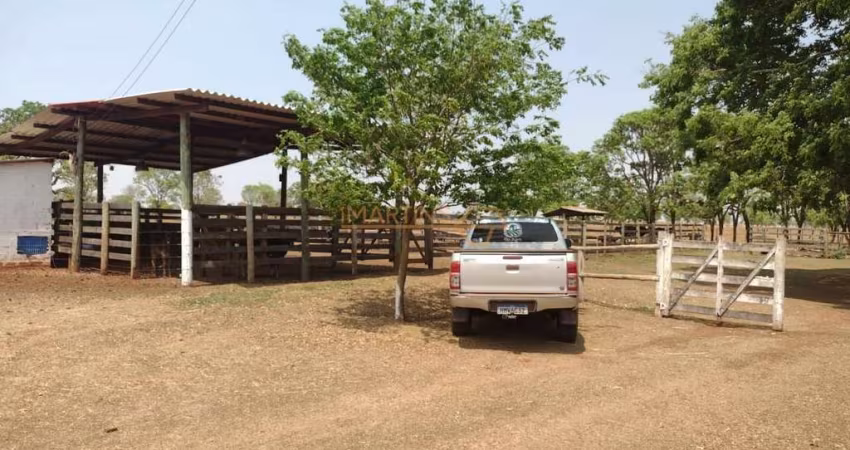 Fazenda em Araguari