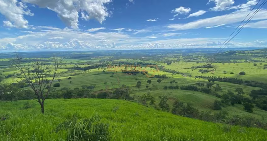 Vendo chácara localizada no Distrito de Piracaíba, a 48km de Araguari!