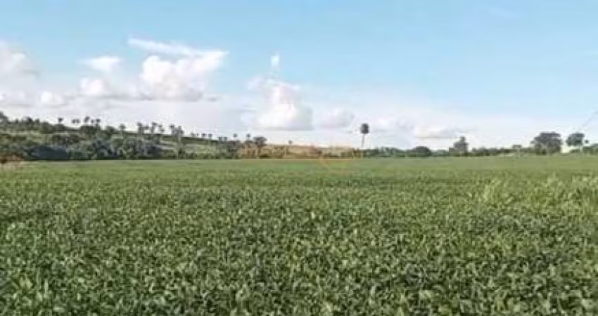 Fazenda à venda no bairro Centro - Araguari/MG
