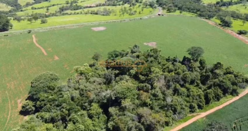 Fazenda à venda no bairro Centro - Araguari/MG