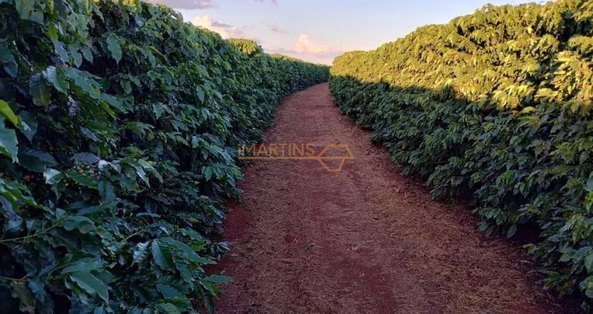 Fazenda à venda no bairro Centro - Araguari/MG