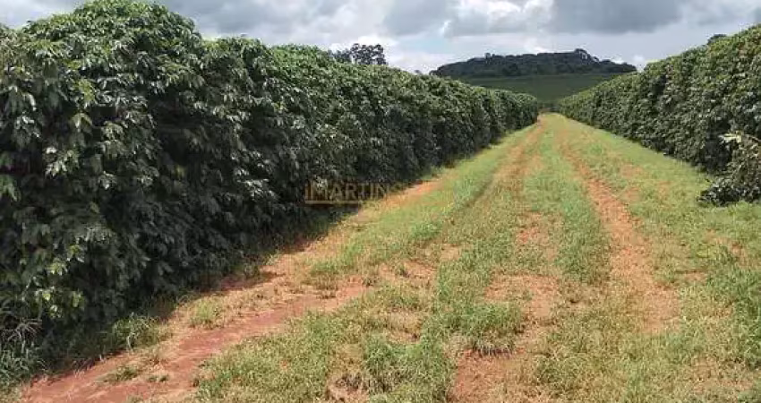 Fazenda à venda na Rua Antônio Lemos da Silva, Centro, Araguari