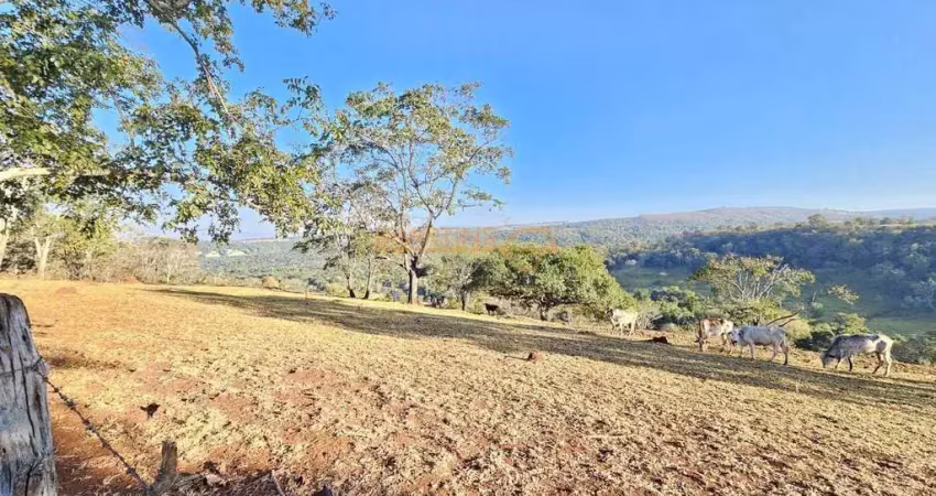 Fazenda à venda no bairro área rural de araguari - araguari/mg
