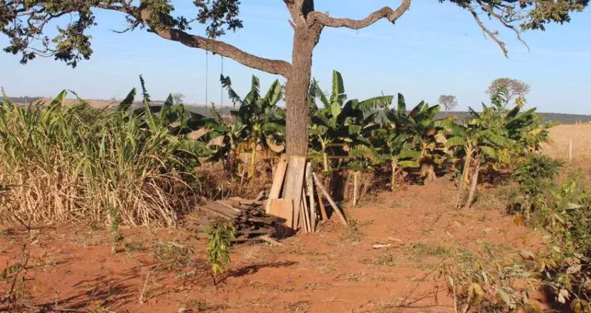 Chácara à venda no bairro área rural de araguari - araguari/mg