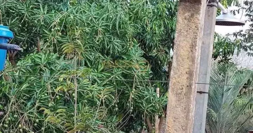 Rancho à venda no bairro área rural de araguari - araguari/mg