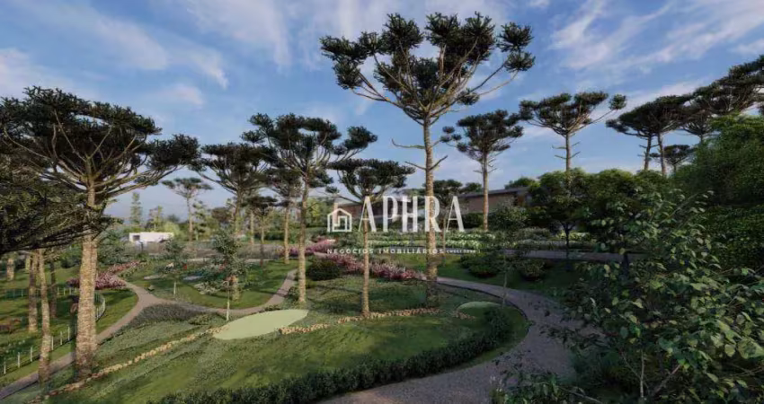 Terreno à venda, 3781 m² por r$ 1.735.000,00 - centro - campo alegre/sc