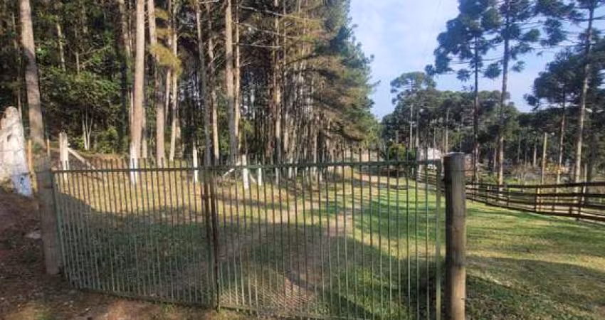 Terreno à venda no Rio Vermelho, Campo Alegre 