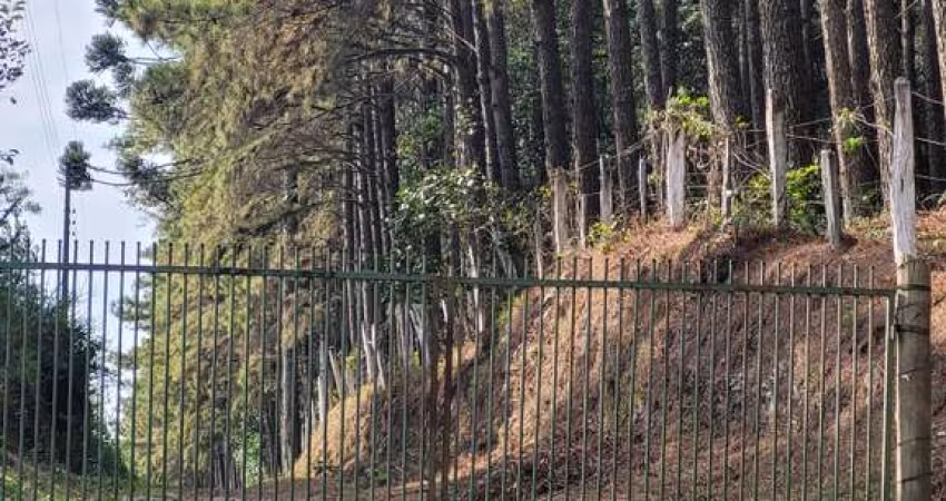 Terreno à venda no Rio Vermelho, Campo Alegre 