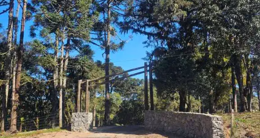Terreno à venda no Bateias de Cima, Campo Alegre 