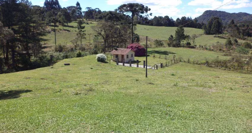 Chácara / sítio com 2 quartos à venda em São Miguel, Campo Alegre 