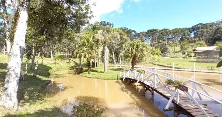 Chácara / sítio com 3 quartos à venda na Avenquinha, Campo Alegre 