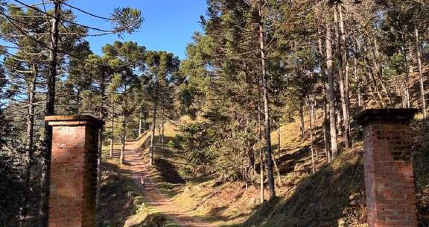 Terreno à venda em São Miguel, Campo Alegre 