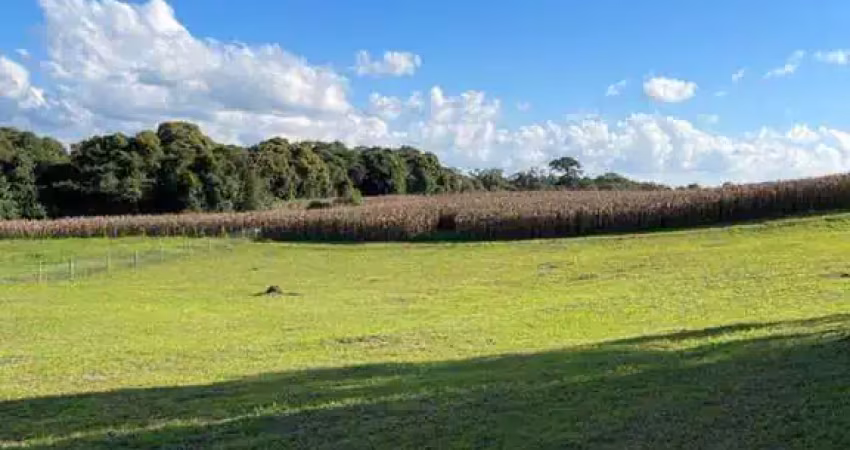 Terreno à venda no Lageado, Campo Alegre 