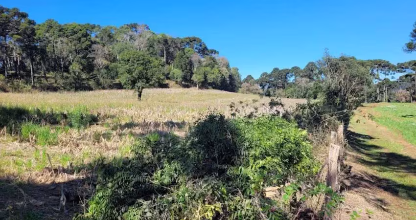 Terreno à venda na Avenquinha, Campo Alegre 