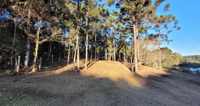 Terreno à venda no Lageado, Campo Alegre 