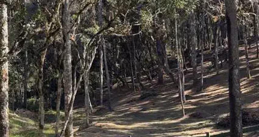 Terreno à venda no Lageado, Campo Alegre 